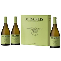 Qtª Nova Mirabilis White...