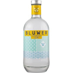 Gin Bluwer Invisible 70cl